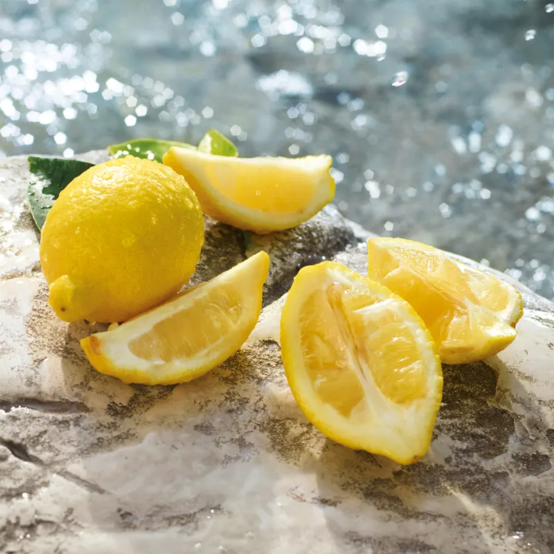 Perfume Dolce & Gabbana Light Blue - 100ml - Imagem 4