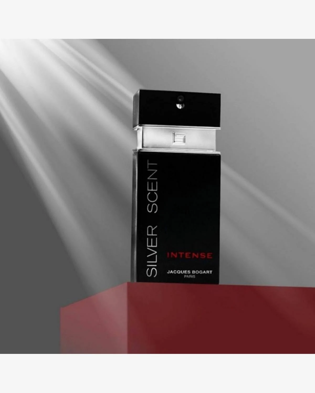 Perfume Silver Scent Intense Eau de Toilette 100 ml - Imagem 4